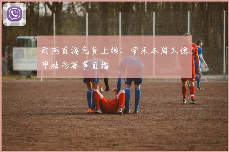 雨燕直播免费上线：带来本周末德甲精彩赛事直播