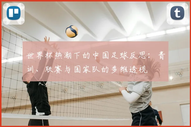 世界杯热潮下的中国足球反思：青训、联赛与国家队的多维透视