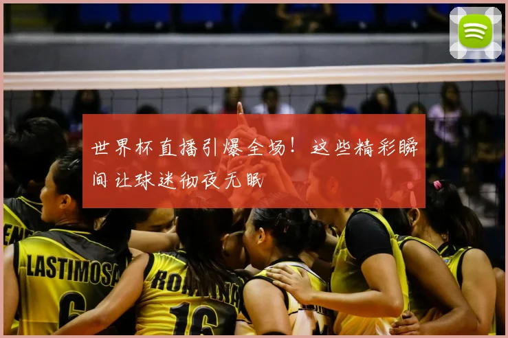 世界杯直播引爆全场！这些精彩瞬间让球迷彻夜无眠
