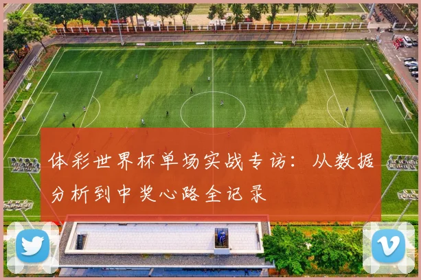 体彩世界杯单场实战专访:从数据分析到中奖心路全记录